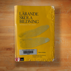 Lärande, skola, bildning : grundbok för lärare Upplaga 3