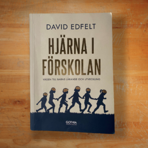 Hjärna i förskolan : Vägen till barns lärande och utveckling 1:a upplagan av David Edfelt